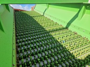 Neuenhauser 2F Star Screen Deck Year 2021 - Image 2